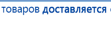СКЭНАР-1-НТ (исполнение 02.1) Скэнар Про Плюс купить в Истре, Аппараты Скэнар купить в Истре, Дэнас официальный сайт denasdoctor.ru